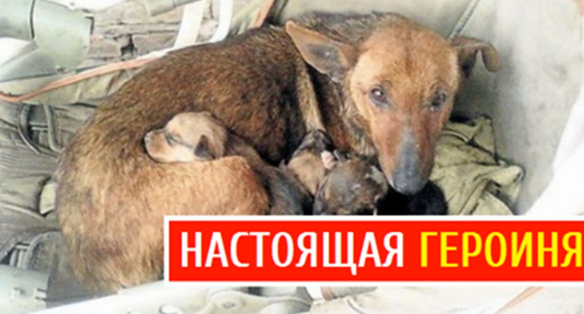 Без имени-1-восстановлено-восстановлено-восстановлено-восстановлено-восстановлено-восстановлено-восстановлено-восстановлено-восстановлено-восстановлено-восстановлено