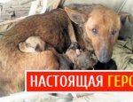 Без имени-1-восстановлено-восстановлено-восстановлено-восстановлено-восстановлено-восстановлено-восстановлено-восстановлено-восстановлено-восстановлено-восстановлено