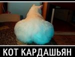 Без имени-1-восстановлено-восстановлено