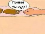 Без имени-1-восстановлено-восстановлено-восстановлено-восстановлено