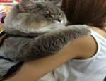 Без имени-1-восстановлено-восстановлено-восстановлено-восстановлено-восстановлено-восстановлено-восстановлено-восстановлено-восстановлено-восстановлено