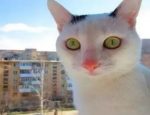 Без имени-1-восстановлено-восстановлено-восстановлено-восстановлено-восстановлено-восстановлено-восстановлено-восстановлено-восстановлено-восстановлено-восстановлено