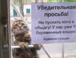 Без имени-1-восстановлено-восстановлено-восстановлено-восстановлено-восстановлено-восстановлено-восстановлено-восстановлено-восстановлено-восстановлено-восстановлено