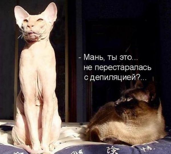 Эти 19 стыдных вещей тайком делают 99 девушек только не говори что это не так. Смотреть фото Эти 19 стыдных вещей тайком делают 99 девушек только не говори что это не так. Смотреть картинку Эти 19 стыдных вещей тайком делают 99 девушек только не говори что это не так. Картинка про Эти 19 стыдных вещей тайком делают 99 девушек только не говори что это не так. Фото Эти 19 стыдных вещей тайком делают 99 девушек только не говори что это не так