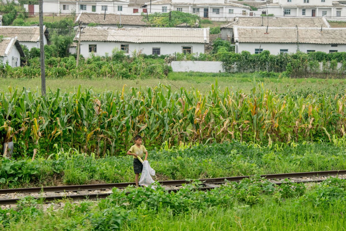the-train-chugged-along-giving-chu-glimpses-of-everyday-life-this-boy-collected-corn-cobs-beside-the-tracks