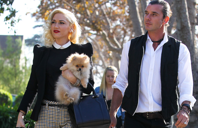 Nanny Mindy Mann with Gavin Rossdale and Gwen Stefani on Thanksgiving 2012. Mann, who reportedly had an affair with Rossdale, walked behind the couple as they went to Gwen's mother's home on November 22, 2012 Pictured: Nanny Mindy Mann and Gavin Rossdale and Gwen Stefani Ref: SPL1174658 111115 Picture by: IRF / Splash News Splash News and Pictures Los Angeles:310-821-2666 New York: 212-619-2666 London: 870-934-2666 photodesk@splashnews.com 