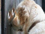 Без имени-1-восстановлено-восстановлено-восстановлено-восстановлено-восстановлено