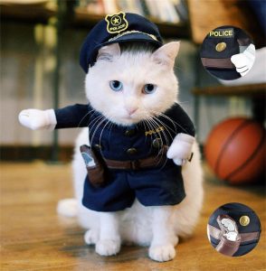 3.Top-5-Best-Halloween-Costumes-for-Cats-294x300