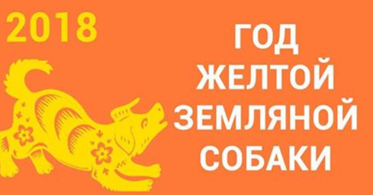 Желтая пятерка в 2018 году что это Желтая пятерка в 2018 году что это