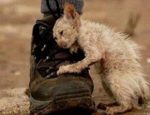 Без имени-1-восстановлено-восстановлено