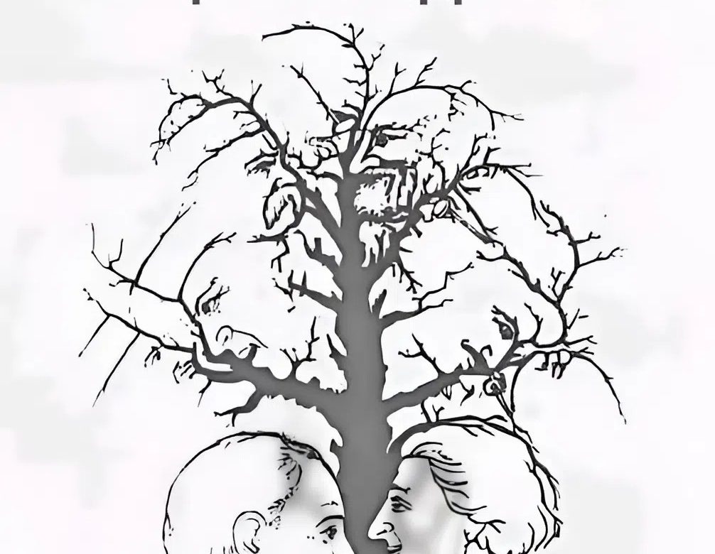 snapedit_1761582726017